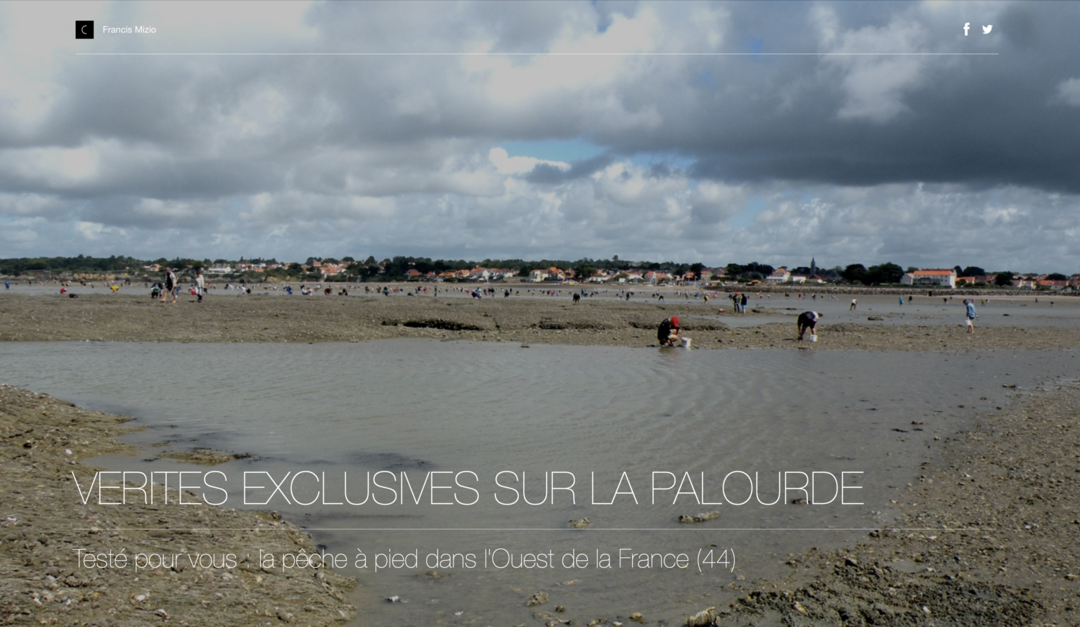 Vérités exclusives sur la palourde
