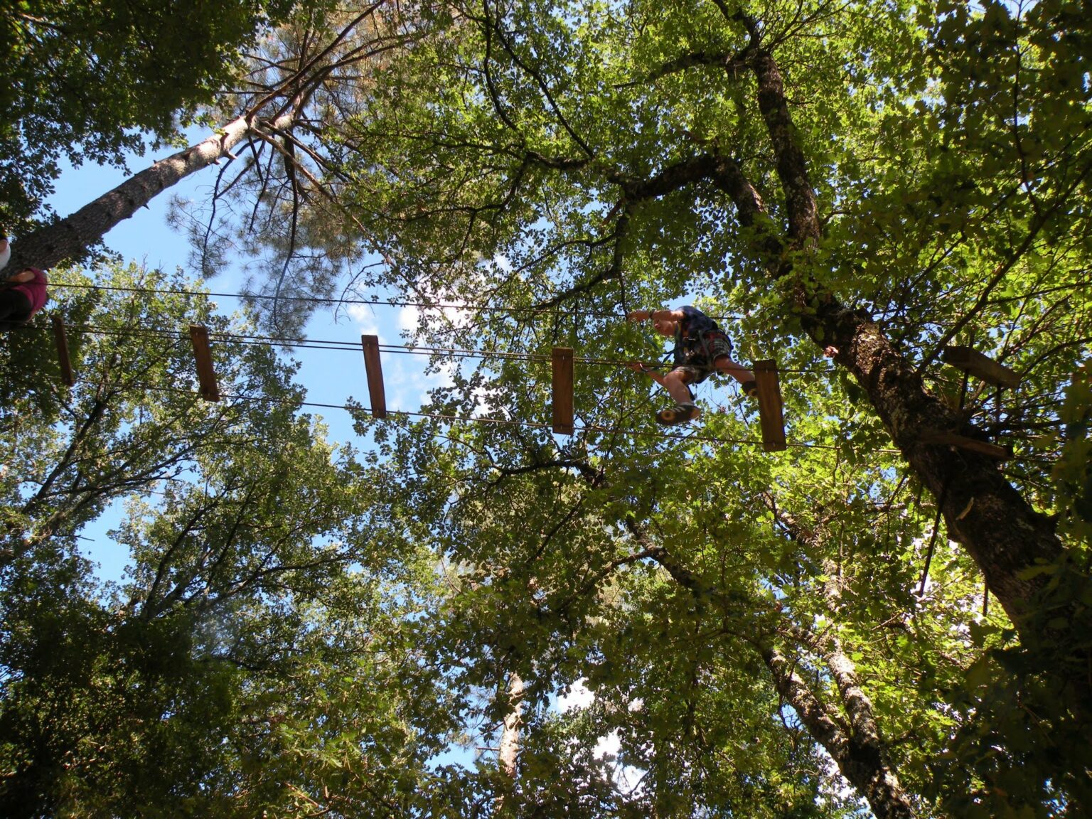 [Où étais-je le... ?] 20 juillet 2011, pétrifié dans un arbre