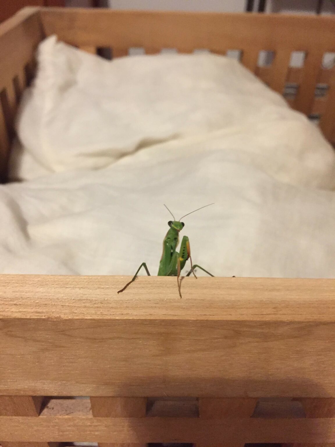 [Où étais-je le... ?] 24 juillet 2019, dans une chambre avec une religieuse