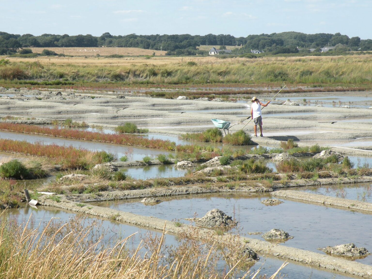 [Où étais-je le... ?] 20 août 2013, dans des marais salants de Saint Molf, près de Guérande