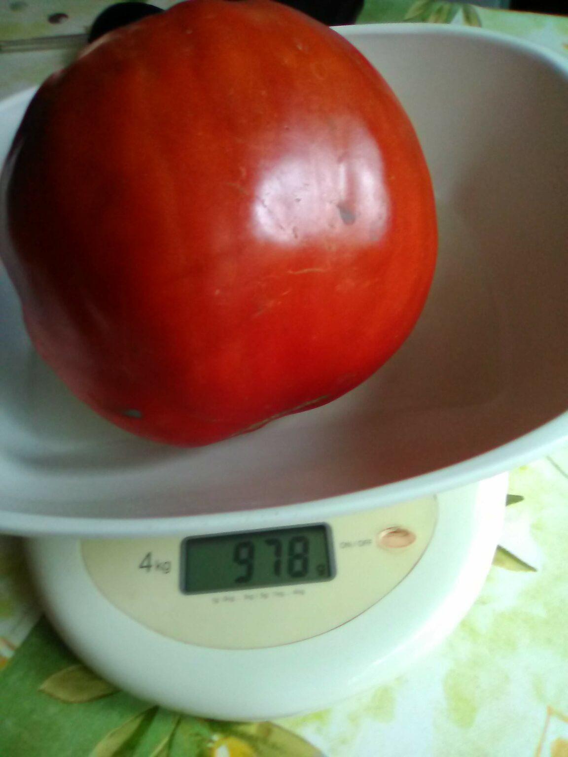 [Où étais-je le... ?] 21 août 2017, devant une photo de tomate