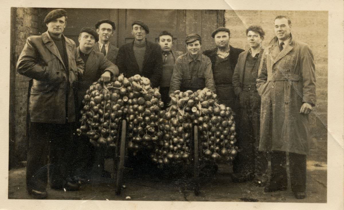 [Métiers inconnus] Occupeurs de vos oignons (Roscoff)